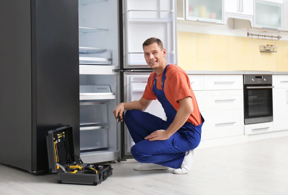 Bergama Indesit buzdolabı servisi teknisyen